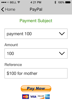 PayPal Payments App Features